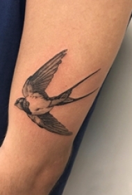 女生手臂上黑灰素描点刺技巧创意燕子纹身图片