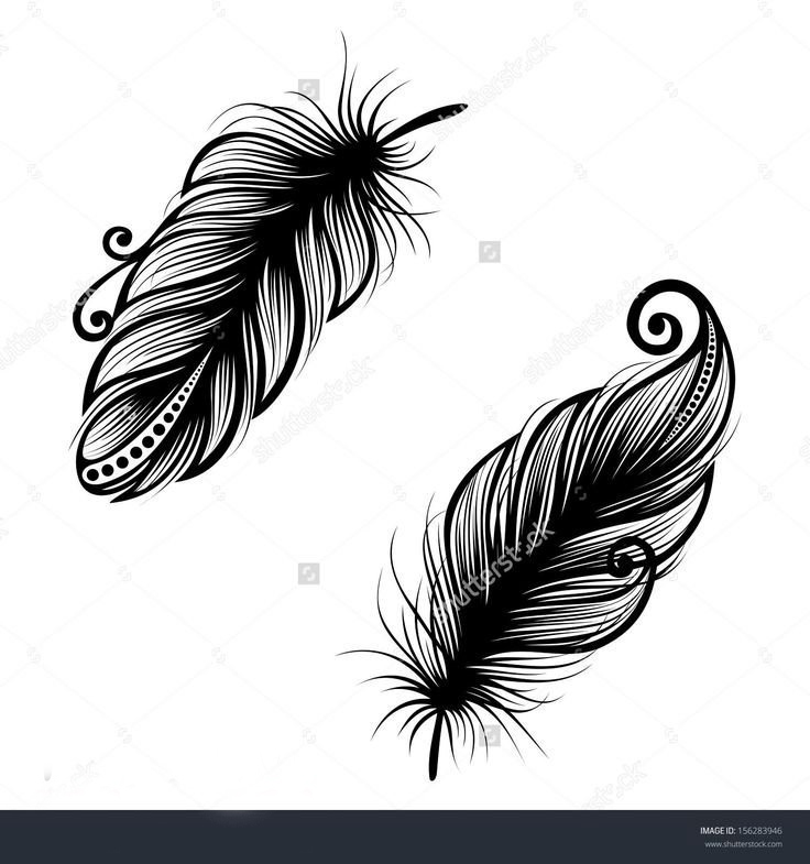 点击大图看下一张：黑色的孔雀羽毛纹身简单线条图片纹身手稿素材