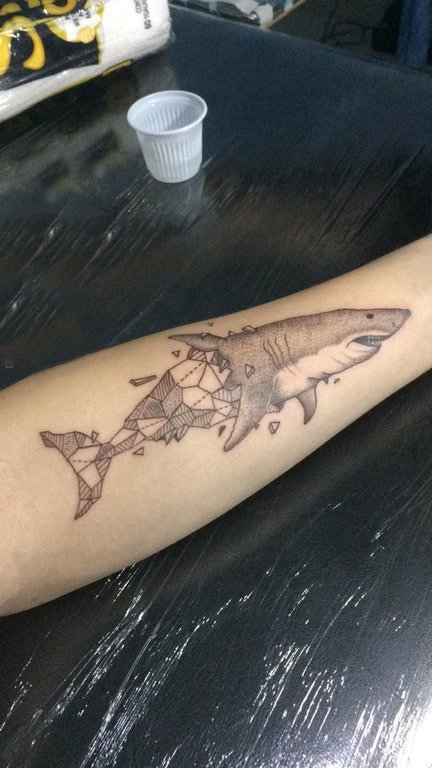 点击大图看下一张：女生手臂上黑灰素描几何元素创意鲨鱼动物纹身图片