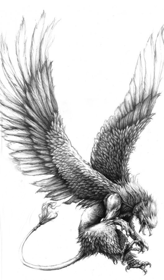 点击大图看下一张：展翅高飞的黑灰色点刺动物老鹰纹身手稿