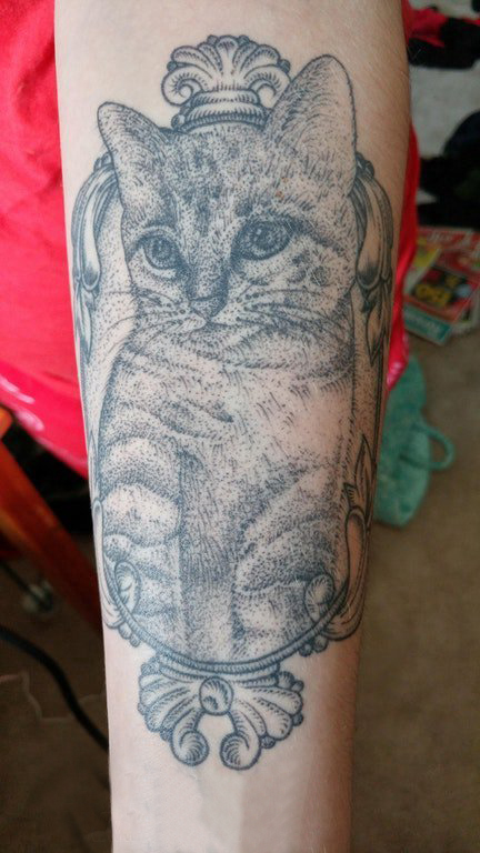 点击大图看下一张：男生手臂上黑灰素描创意可爱俏皮猫咪纹身图片