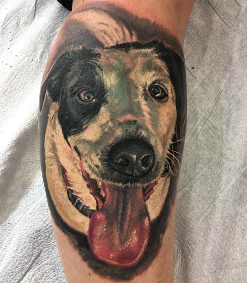 点击大图看下一张：男生手臂上彩绘抽象线条小动物宠物狗纹身图片