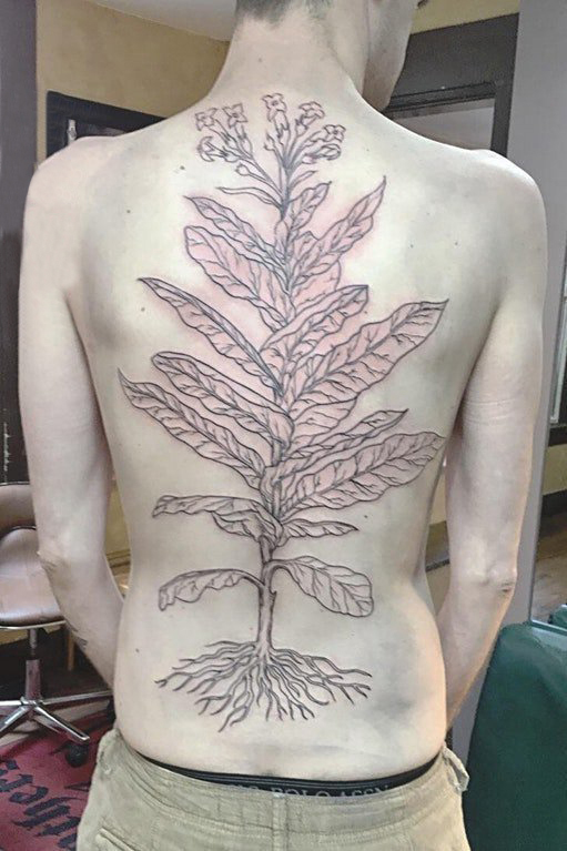 点击大图看下一张：男生后背上黑色抽象线条植物叶子和花朵纹身图片