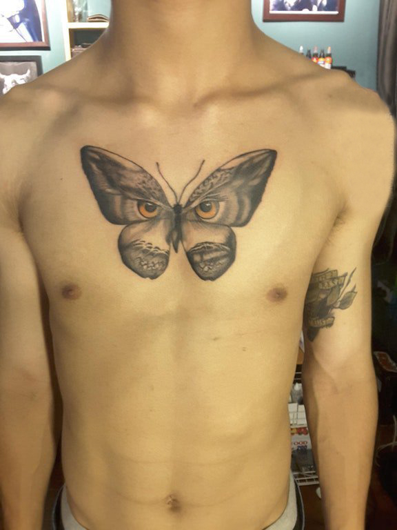 点击大图看下一张：男生胸口上黑灰素描创意猫头鹰元素蝴蝶纹身图片