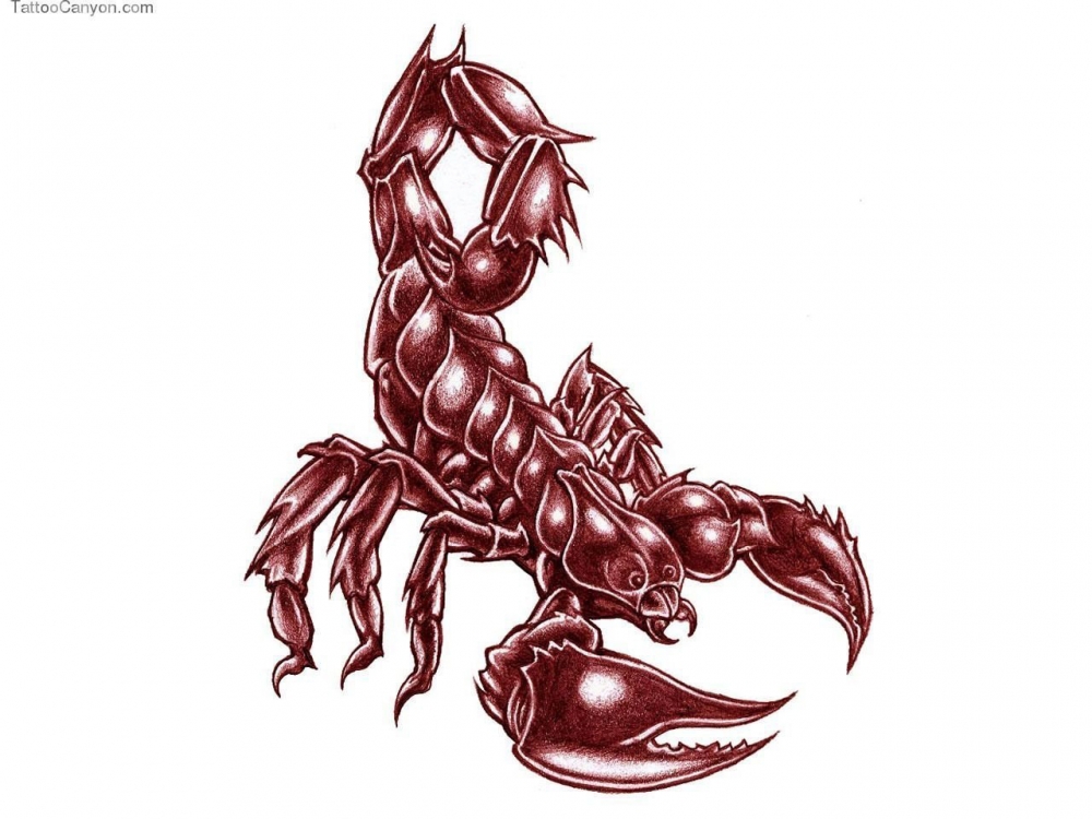 点击大图看下一张：彩绘水彩素描创意霸气蝎子纹身手稿