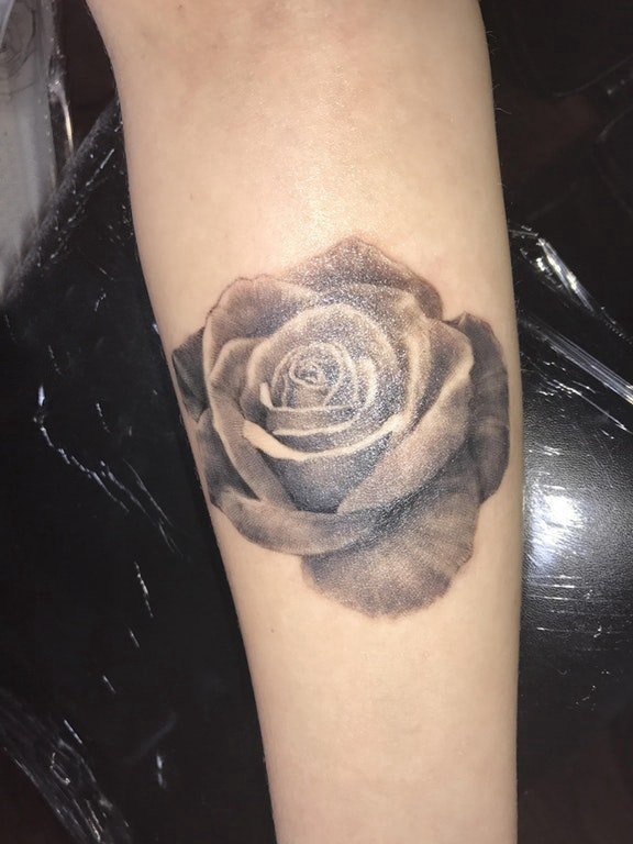 点击大图看下一张：女生手臂上黑灰点刺抽象线条唯美植物玫瑰纹身图片