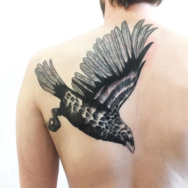 点击大图看下一张：男生后背上黑色点刺简单线条小动物老鹰纹身图片