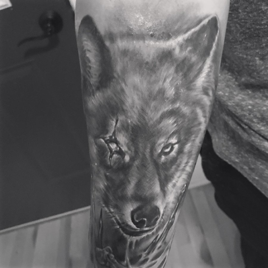 点击大图看下一张：男生手臂上黑灰点刺简单线条小动物狼纹身图片
