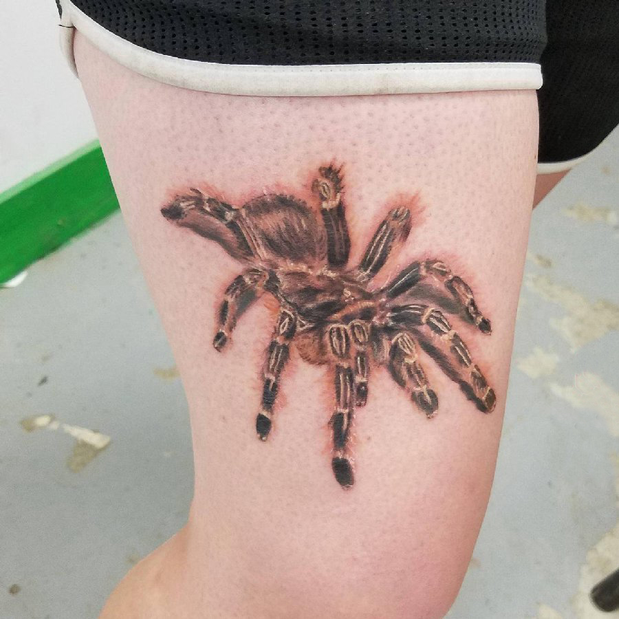 点击大图看下一张：女生大腿上彩绘3d写实小动物蜘蛛纹身图片