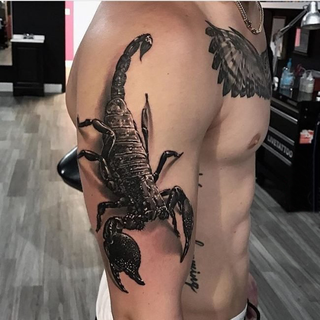 点击大图看下一张：男生手臂上黑灰素描点刺技巧创意蝎子3d纹身图片