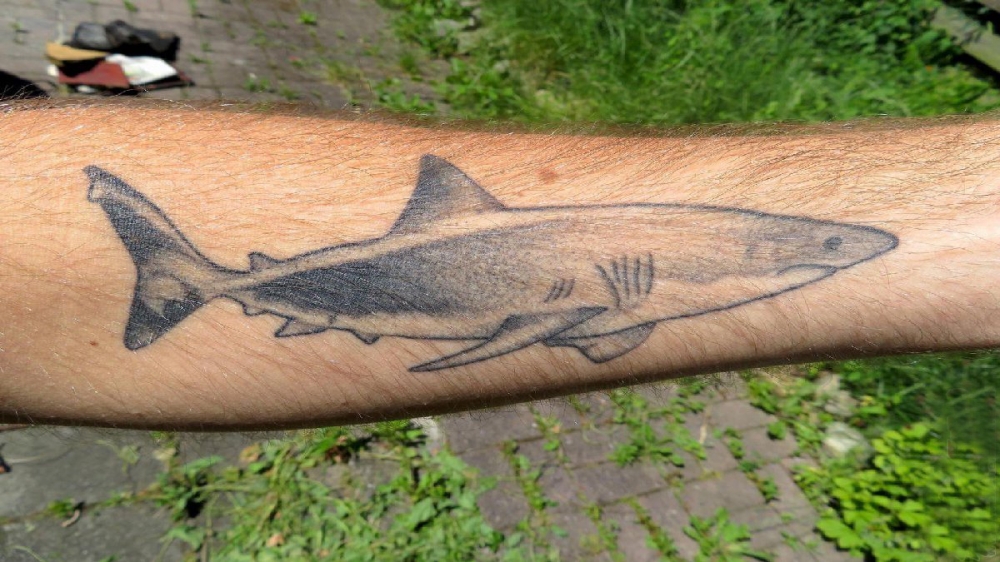 点击大图看下一张：男生手臂上黑灰素描点刺技巧创意鲨鱼纹身图片