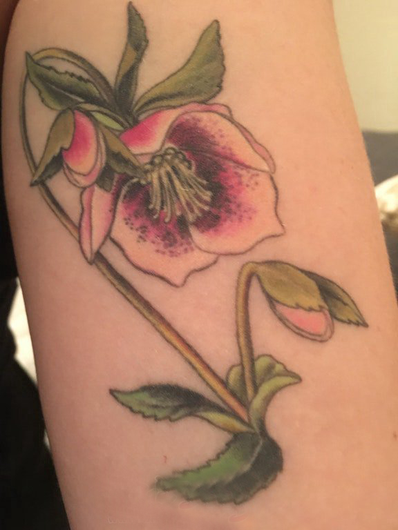 点击大图看下一张：女生大腿上彩绘渐变简单线条植物文艺花朵纹身图片