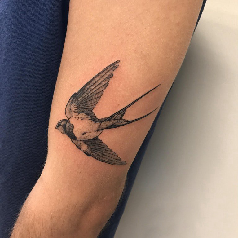 点击大图看下一张：女生手臂上黑灰素描点刺技巧创意燕子纹身图片