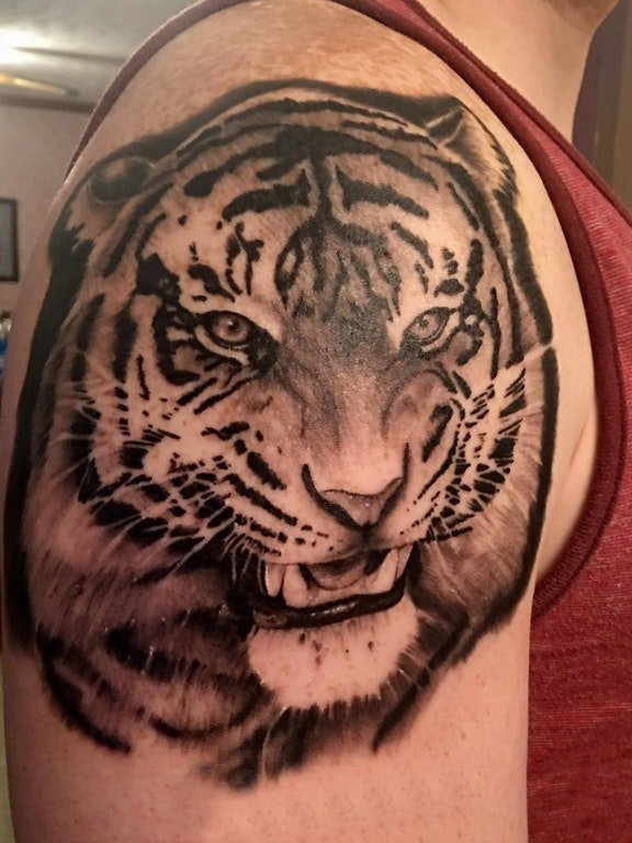 点击大图看下一张：男生手臂上黑色的线条小动物老虎纹身图片