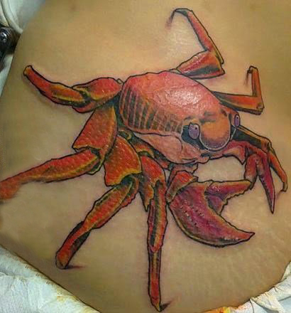 点击大图看下一张：女生背部彩绘水彩素描创意3d螃蟹纹身图片