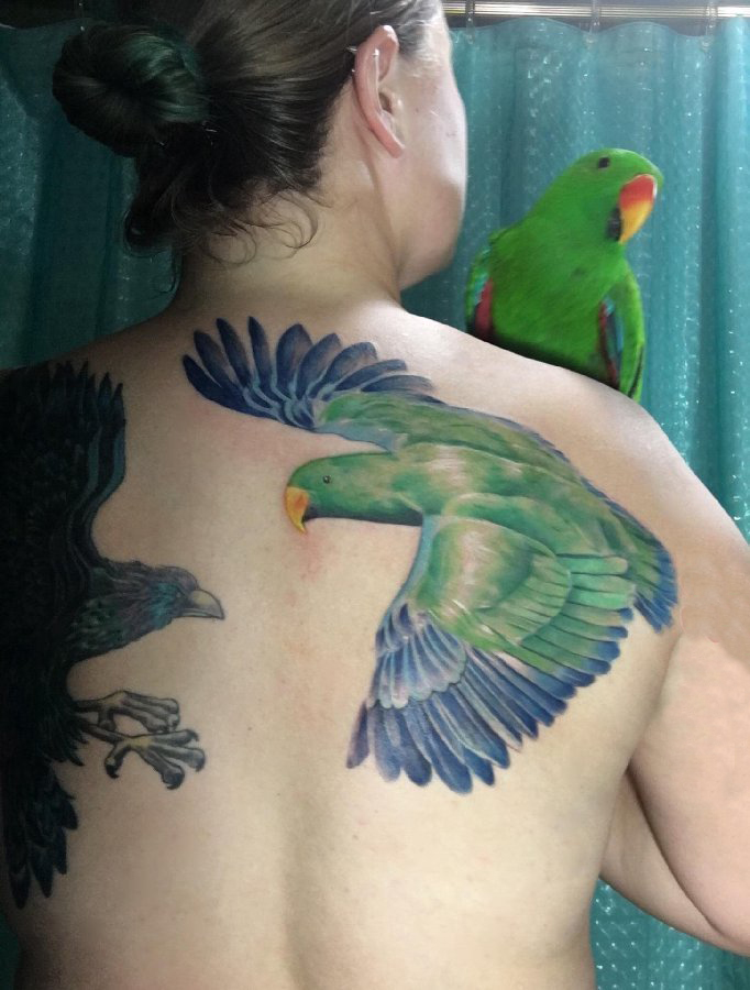 点击大图看下一张：女生后背上彩绘渐变简单线条小动物鹦鹉纹身图片