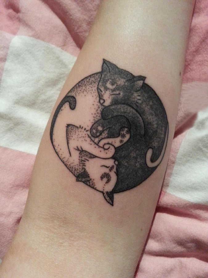 点击大图看下一张：女生手臂上黑色点刺简单线条小动物猫咪纹身图片