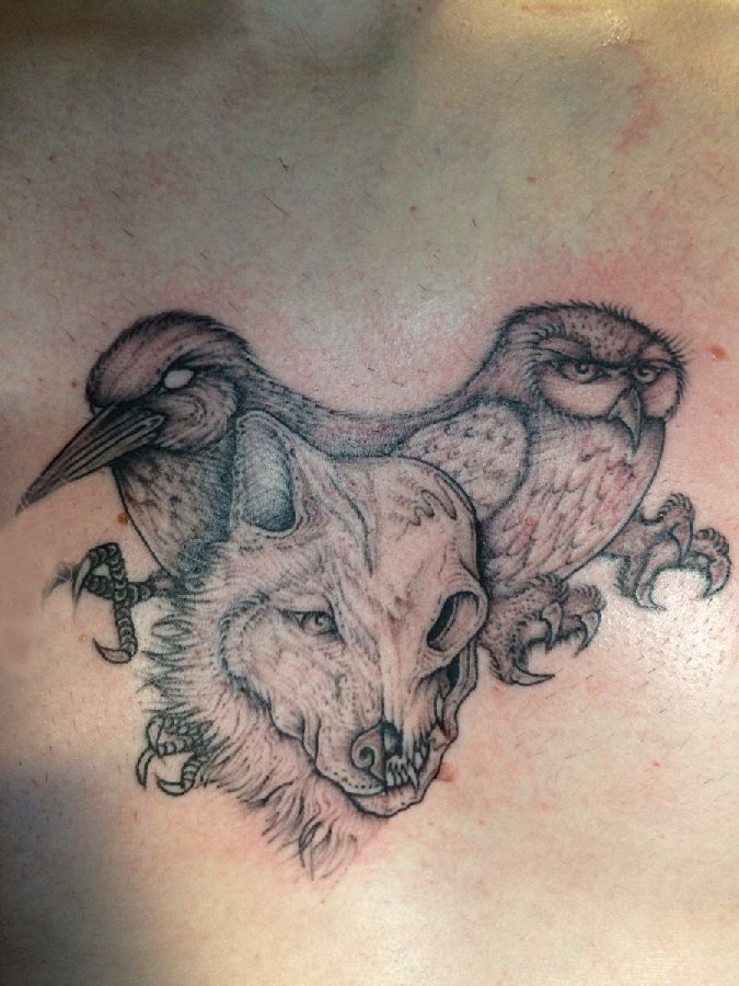 点击大图看下一张：男生胸部黑灰点刺简单线条小动物鸟和狼纹身图片