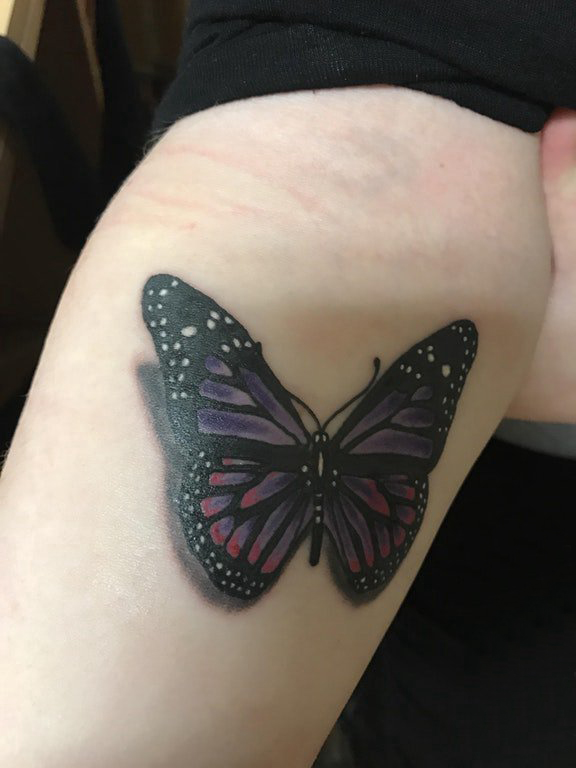 点击大图看下一张：女生手臂上彩绘渐变简单线条动物蝴蝶纹身图片