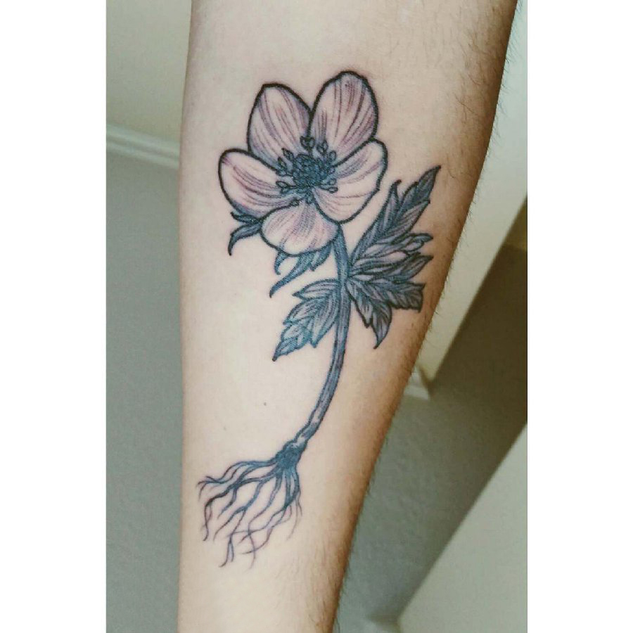 点击大图看下一张：女生小腿上黑色点刺简单抽象线条植物花朵纹身图片