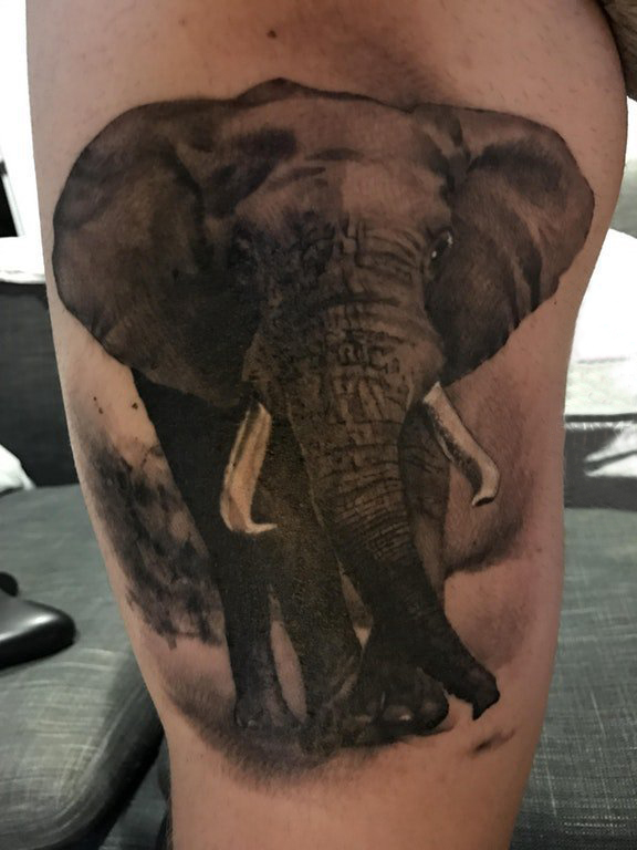 点击大图看下一张：男生大腿上黑灰点刺简单线条写实小动物大象纹身图片