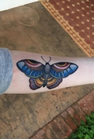 女生手臂上彩绘几何线条小动物蝴蝶纹身图片