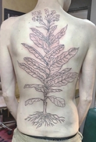 男生后背上黑色抽象线条植物叶子和花朵纹身图片