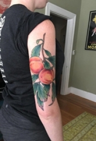 男生手臂上彩绘渐变简单线条植物叶子和桃子纹身图片