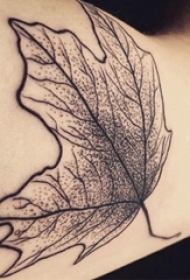 男生手臂上黑色点刺抽象线条植物枫叶纹身图片