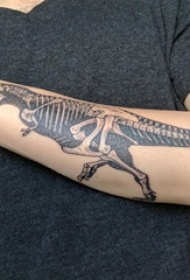 男生手臂上黑灰素描骨头恐龙纹身图片