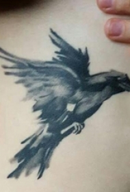 男生背部黑灰素描创意霸气老鹰纹身图片