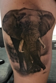 男生大腿上黑灰点刺简单线条写实小动物大象纹身图片