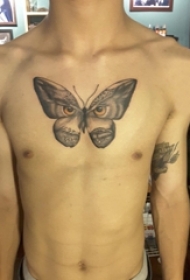 男生胸口上黑灰素描创意猫头鹰元素蝴蝶纹身图片