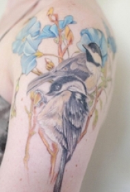 女生手臂上彩绘水彩素描文艺小清新小鸟纹身图片
