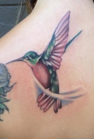 女生背部彩绘水彩素描创意飞舞的小鸟纹身图片