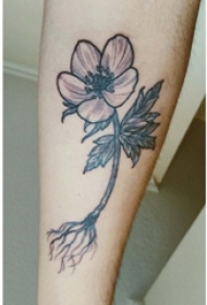 女生小腿上黑色点刺简单抽象线条植物花朵纹身图片