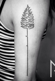 女生手臂上黑色线条创意文艺树精美纹身图片