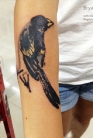 男生手臂上黑灰素描创意可爱小鸟纹身图片