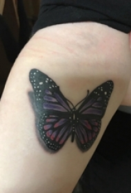 女生手臂上彩绘渐变简单线条动物蝴蝶纹身图片