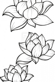 唯美的黑色简单线条创意植物花朵莲花纹身手稿