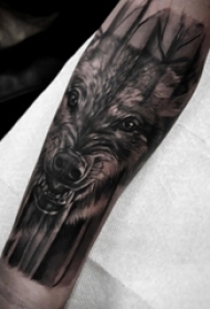 男生手臂上黑色点刺简单线条小动物狼纹身图片