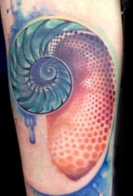 男生手臂上彩绘渐变几何简单线条海螺纹身图片