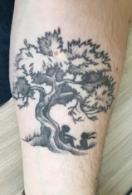 男生小腿上黑灰点刺抽象线条植物大树纹身图片