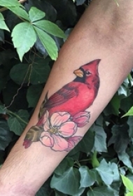 女生手臂上彩绘水彩素描创意小鸟和花朵纹身图片
