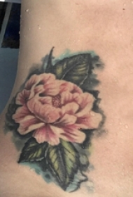 女生侧腰上彩绘渐变小清新植物花朵纹身图片