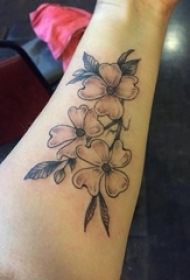 女生手臂上黑灰素描点刺技巧创意花朵纹身图片