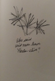 创意的黑色简单抽象线条英文单词和植物纹身手稿