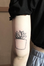 女生手臂上黑灰点刺简单几何线条植物盆栽纹身图片