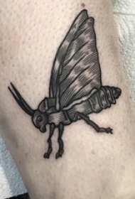 男生小腿上黑灰素描点刺技巧创意昆虫纹身图片
