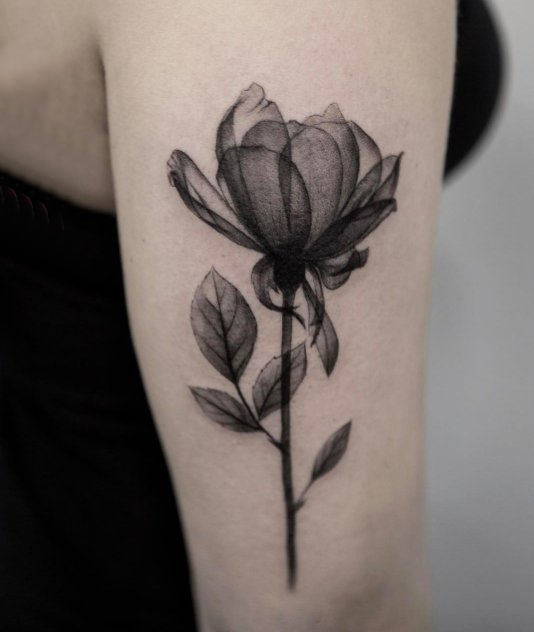 点击大图看下一张：女生手臂上黑灰素描点刺技巧创意文艺唯美花朵纹身图片